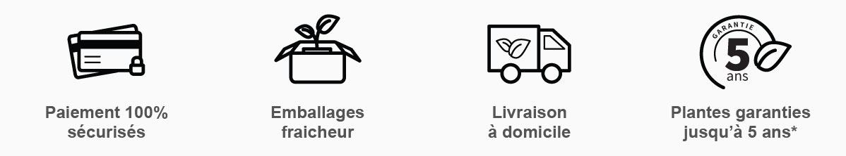 les engagements du spécialiste des jardins réussis