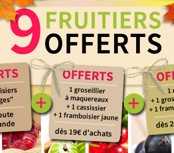 Vos 9 fruitiers offerts