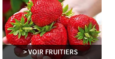 Fruitiers