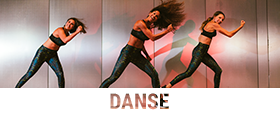 DANSE