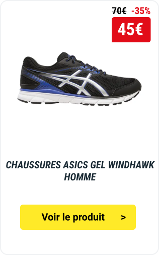 CHAUSSURES ASICS GEL WINDHAWK HOMME