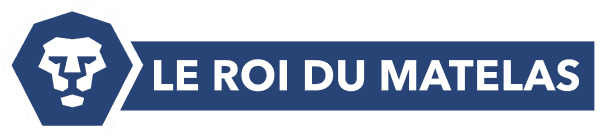 logo le roi du matelas